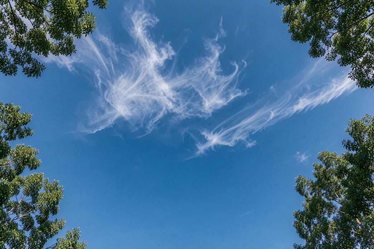 Ciel bleu vif photographié depuis le sol vers le haut avec quelques nuages effilés et des branches d'arbres encadrant la scène